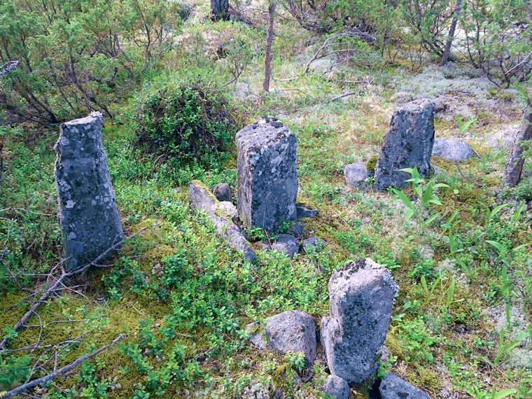 Maastoselvitykset