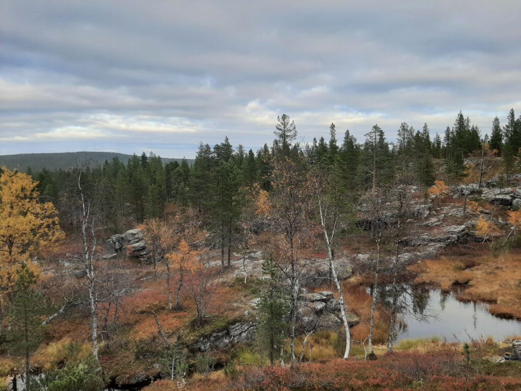 maastotyöt